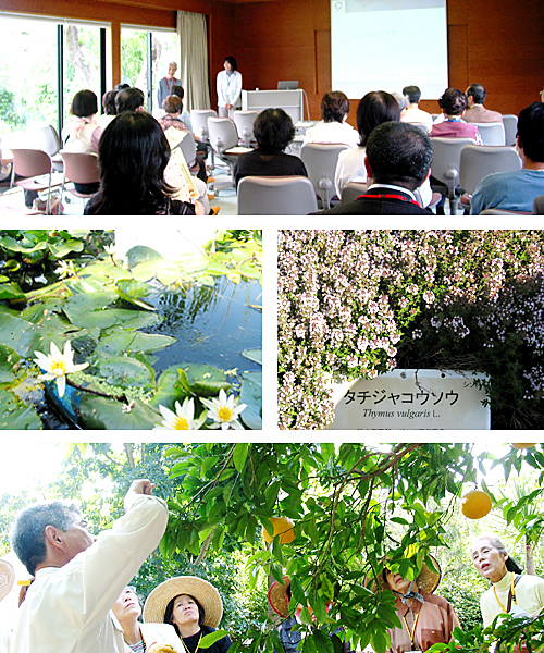 日本新薬山科植物資料館見学