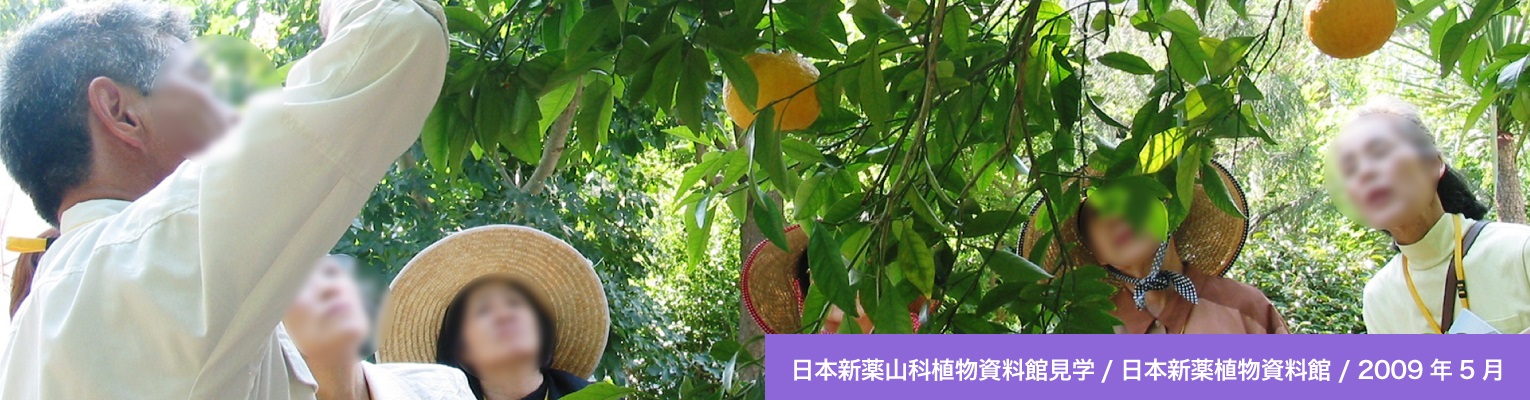 日本新薬山科植物資料館見学／日本新薬植物資料館／２００９年５月